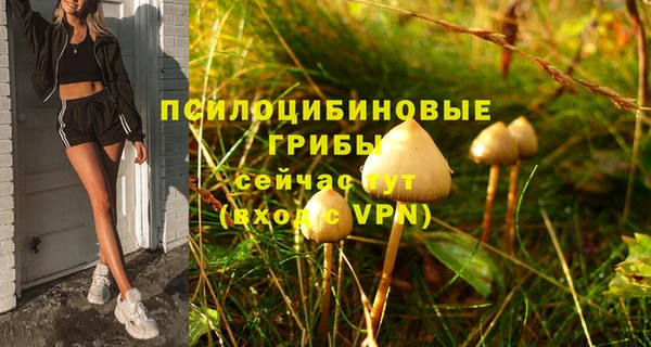 первитин Краснослободск