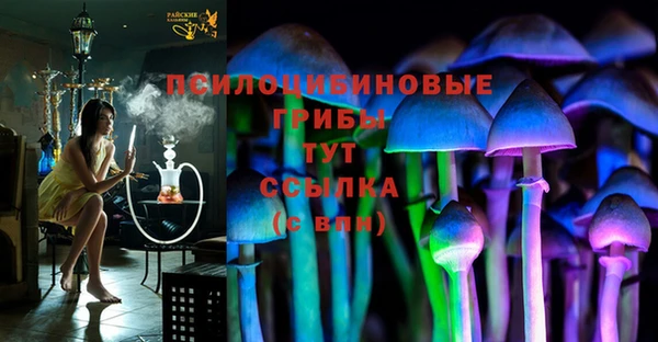 соль курить ск Ельня