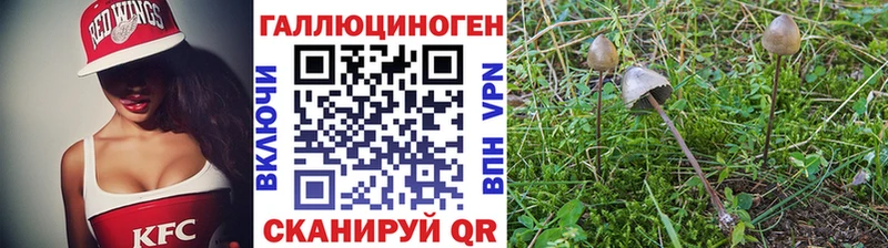 Псилоцибиновые грибы Cubensis  Искитим 