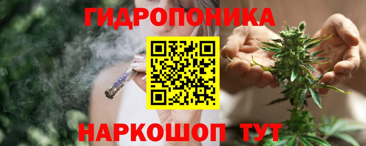 Канабис сатива  Вход с VPN  Бошки марихуана White Widow  Искитим 